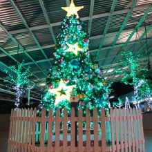 クリスマスツリー