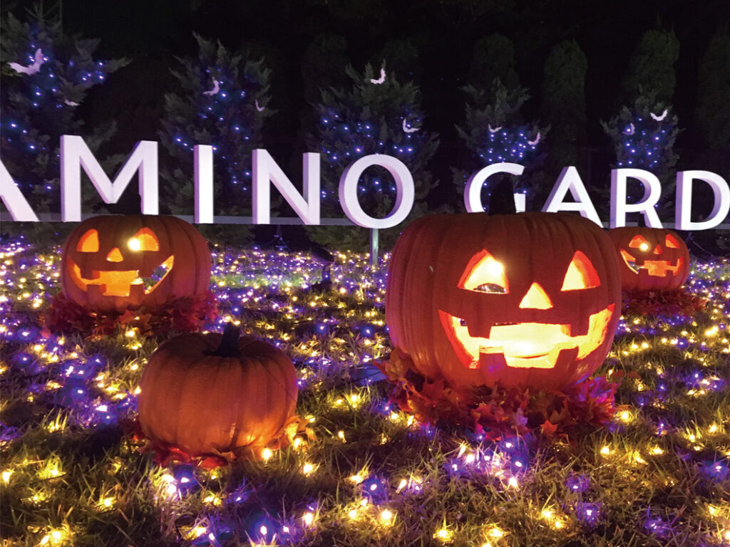 イルミネーションの会社お探しならメディックへ 企画 デザイン 施工まで承ります