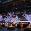 屋外イルミネーションは防水で選ぶ！雨・雪に強い製品の選び方と安全な設置術