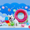 top_pet