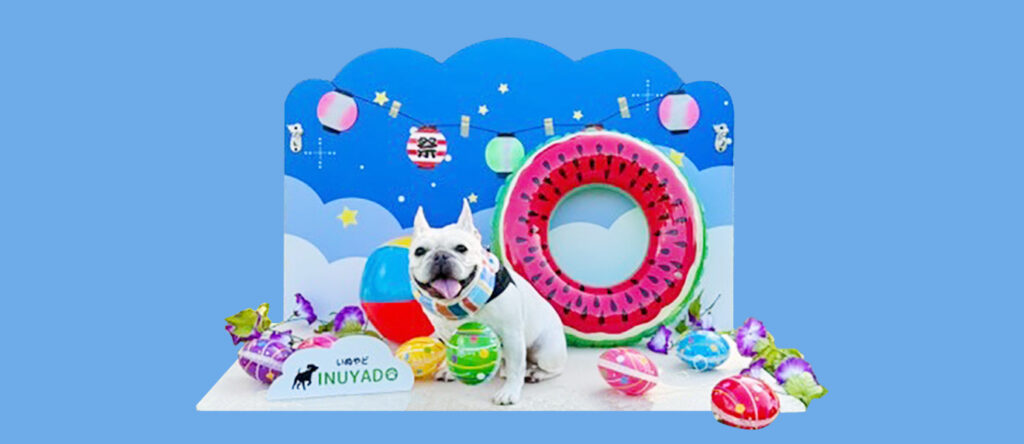 top_pet