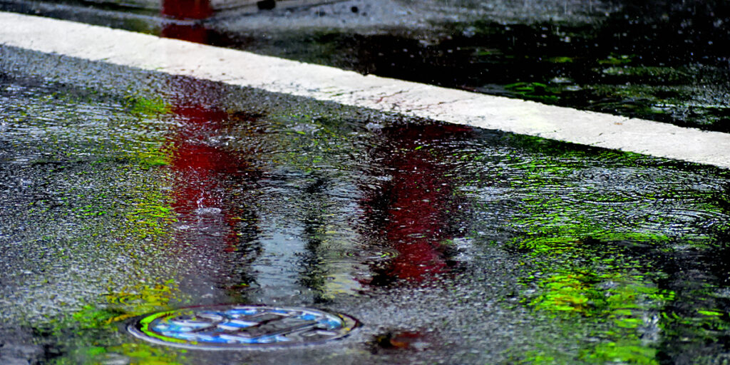 雨